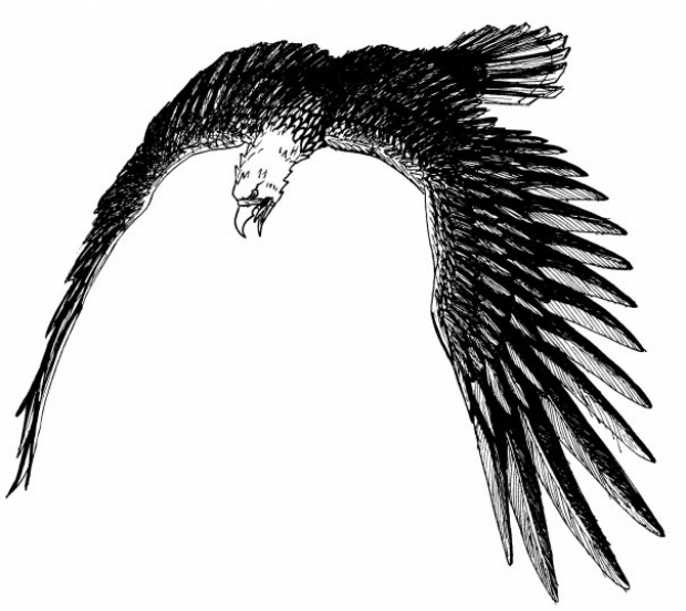 Ink-EAGLE