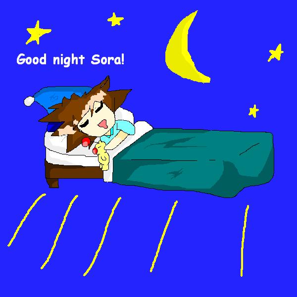 Good Night Sora!