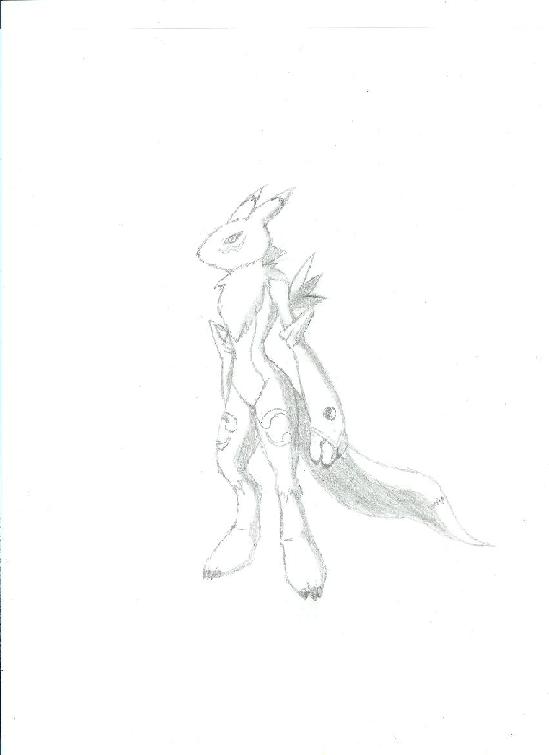 Renamon Is So Cool