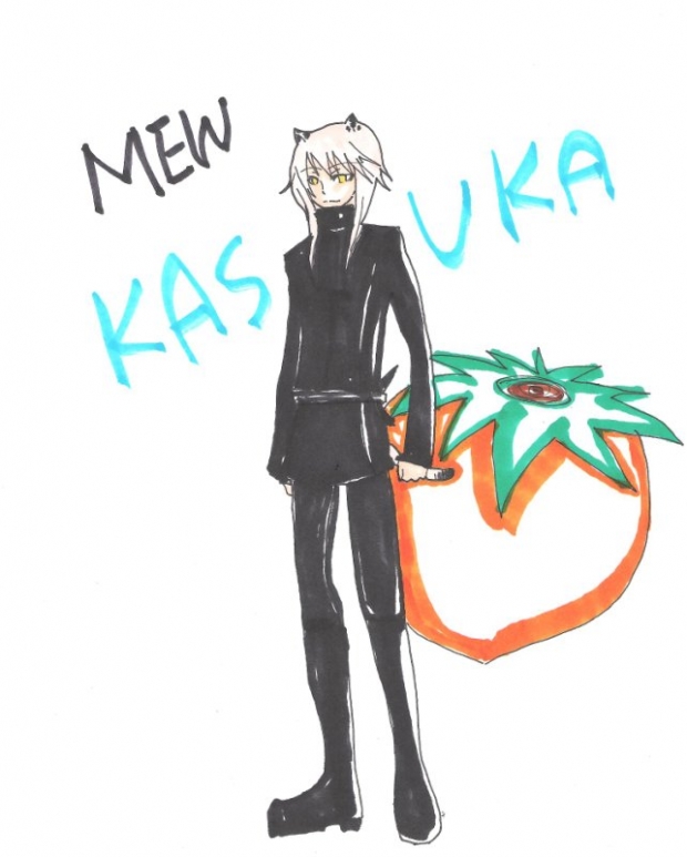 A Male Mew Mew?; Meet Mew Kasuka