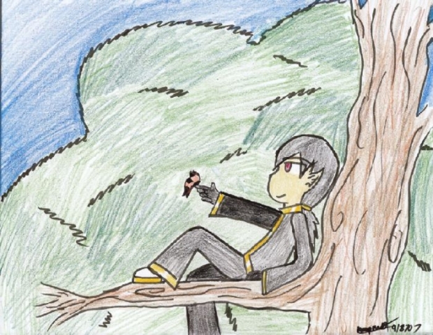 Butterfly Oh Butterfly