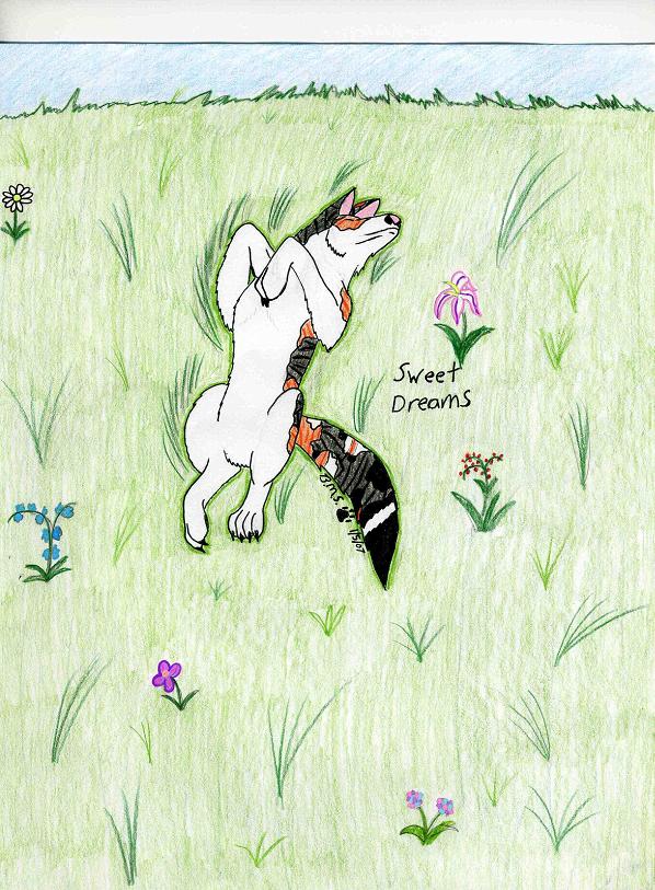 Cher (my Cat As A Wolf)