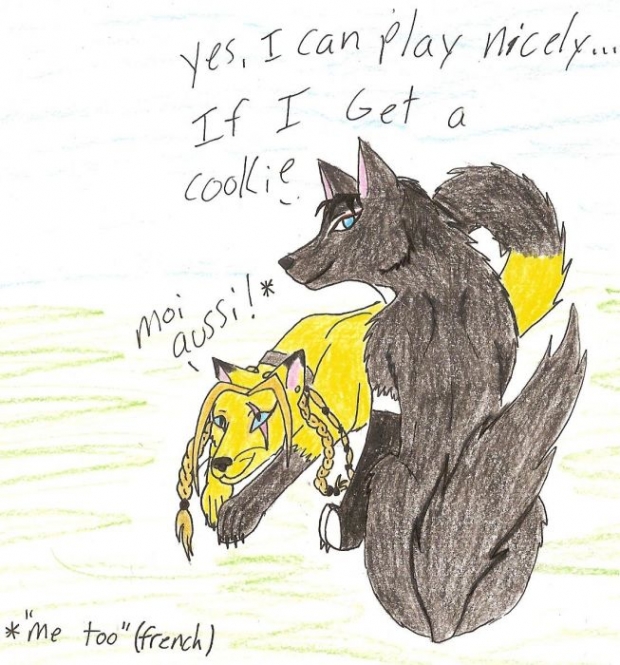 Brokendreamswolf Request