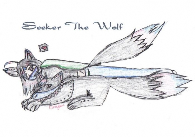 Trade With Metal Seeker