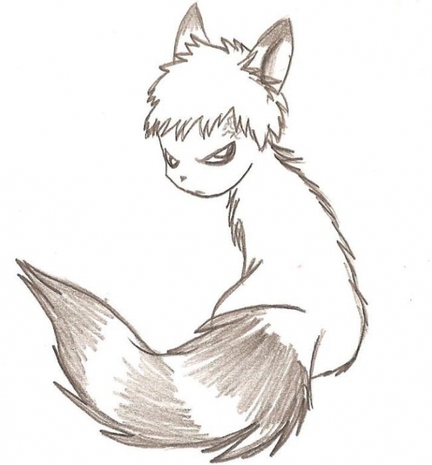 Gaara Raccoon