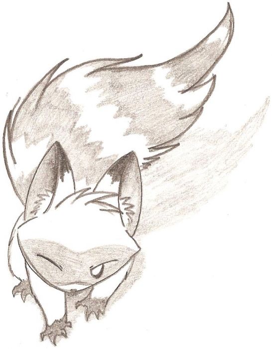 Another Racoon Again