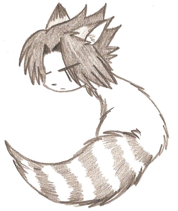 Sasuke Raccoon