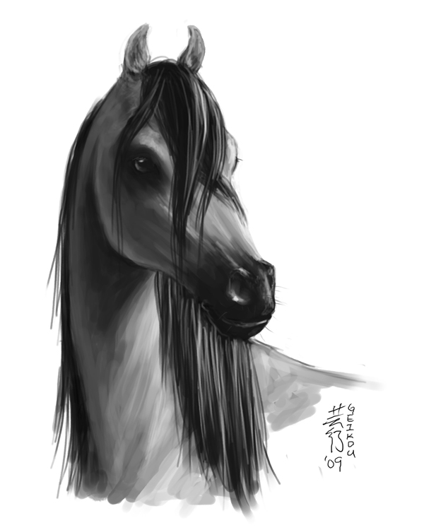 Sketch - Horsie