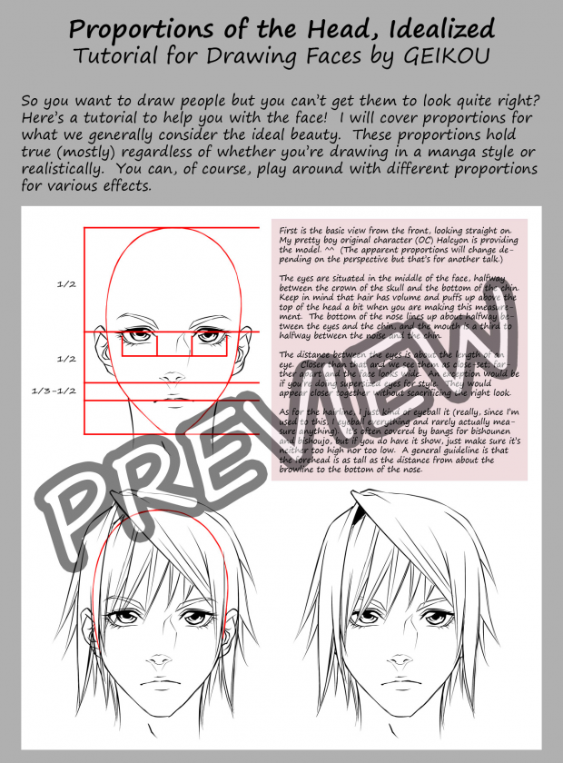 Tutorial: Proportions of the Head