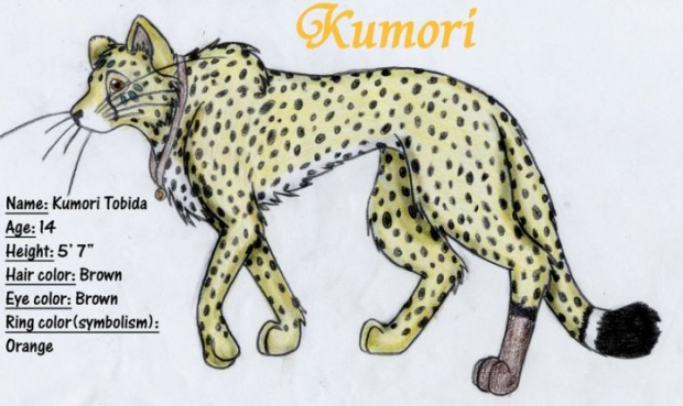Kumori Cheetah