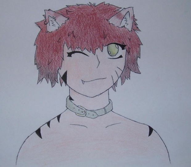 Mithra/neko/kitty Person