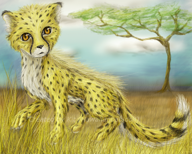 Cheetah Cub