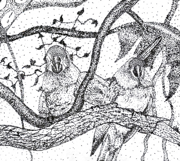 Pointillism Parrots