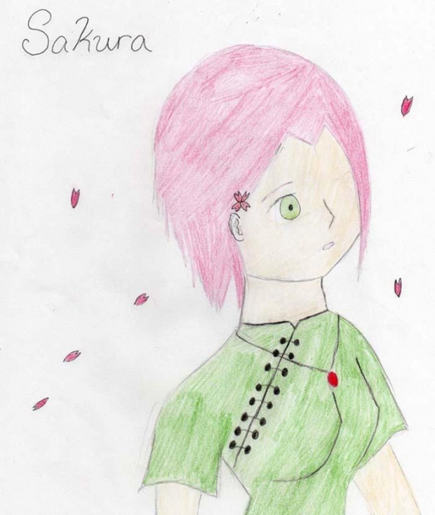 Sakura Under A Cherry Tree