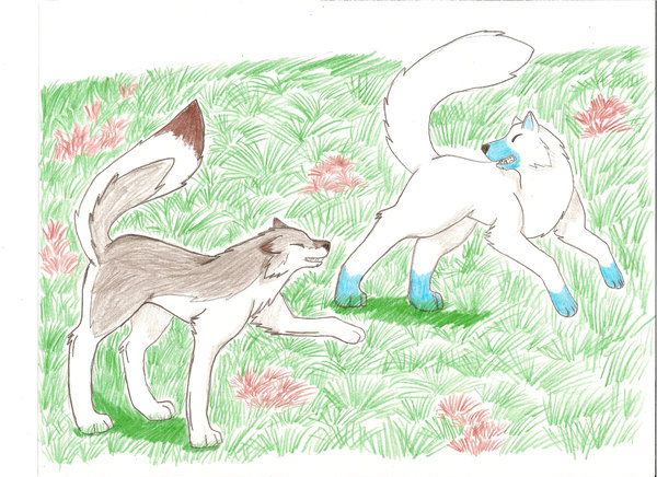 For Hypnowolf's Contest