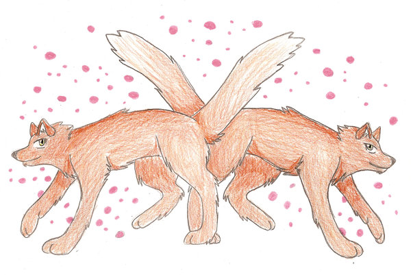 The 'guess Who's Hikaru' Game!