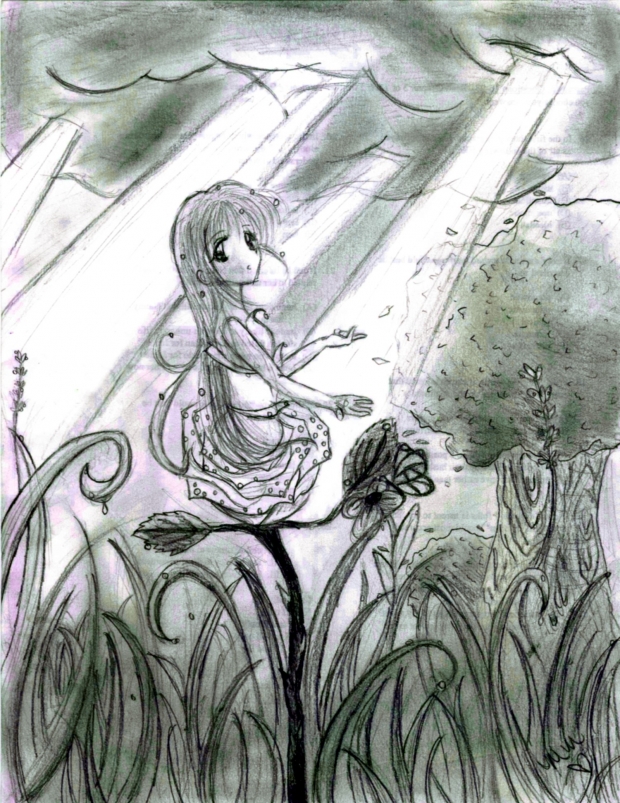 After the Spring Rain