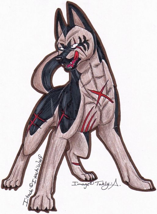 Itachis Final Design