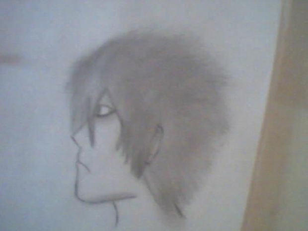 crappy drawing of  L