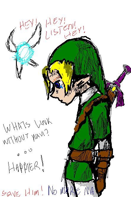 Does Link Need Navi
