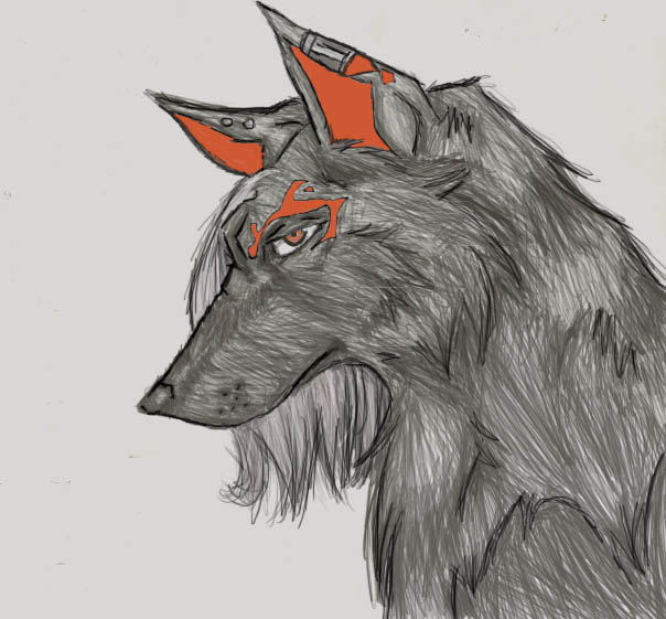 Orange Wolf: Finished