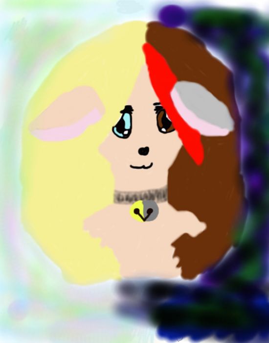 Itertwined Yin And Yang Wovles