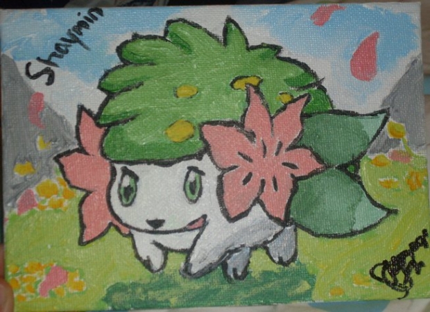 SHAYMIN !