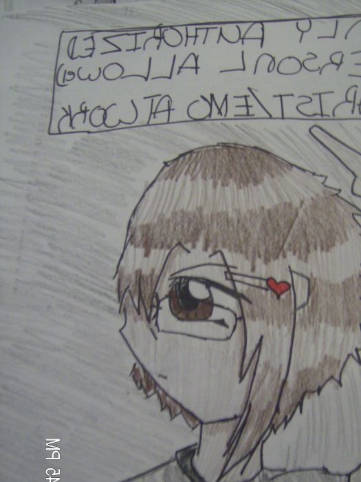 Only Athourized Personl Are Allowed