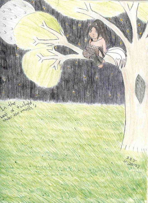 In The Land Of Twilight