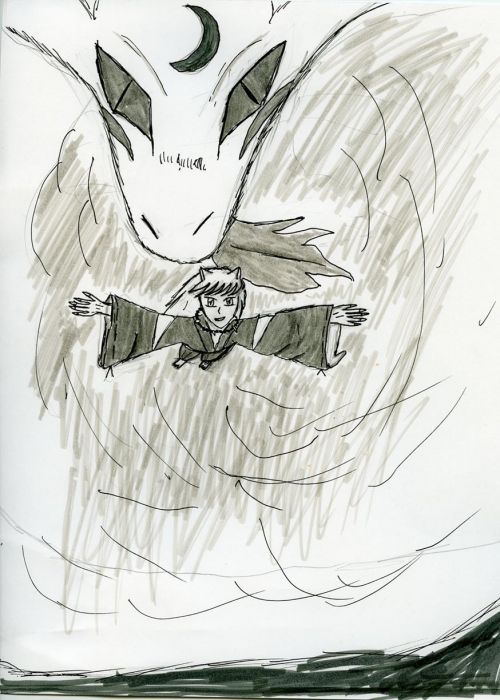 Inuyasha & Sesshomaru Battle