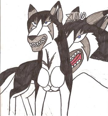 Zuno, My Own Gdw Wolfdog