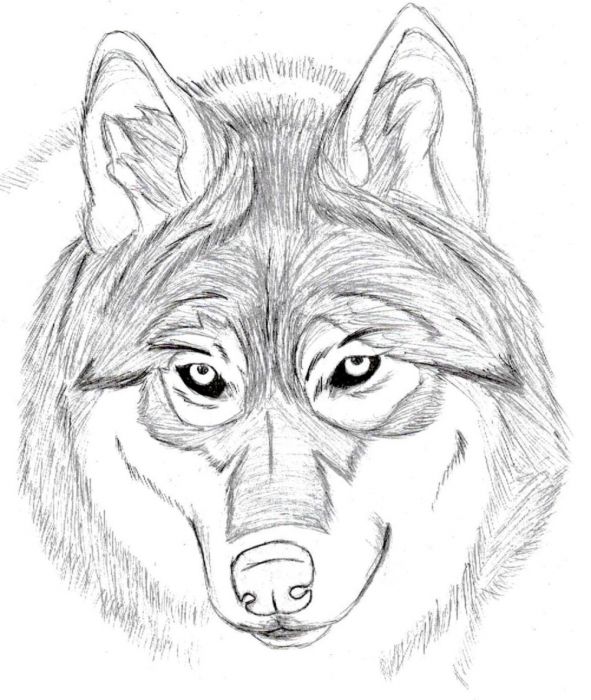 Dedicated To My Princess, Sayuri