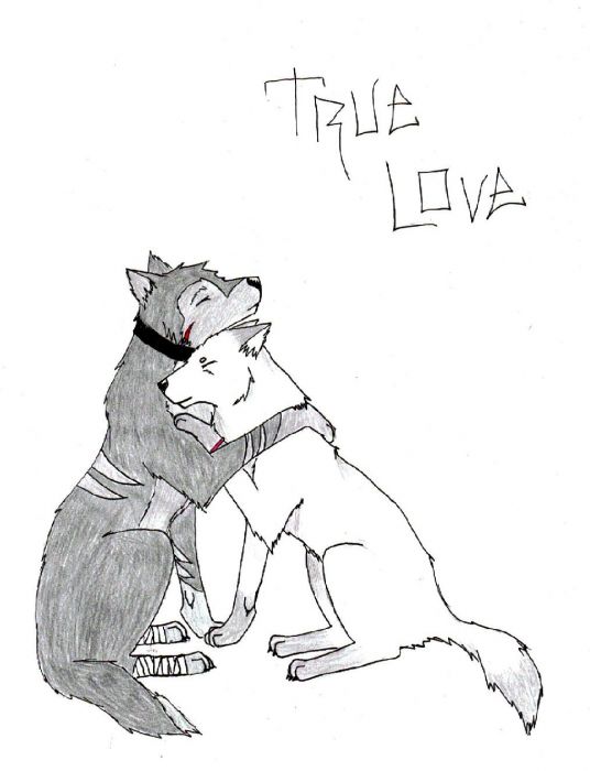 True Love