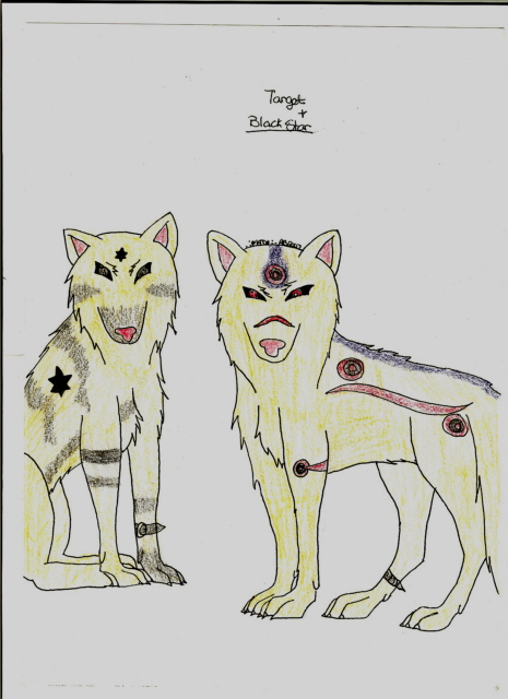 Ikura's Pups Black Star And Target