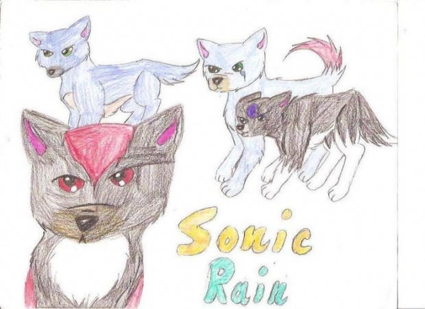 Sonic Rain