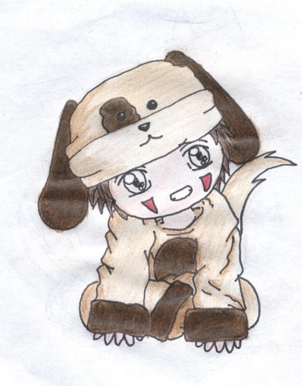 Kiba Dog