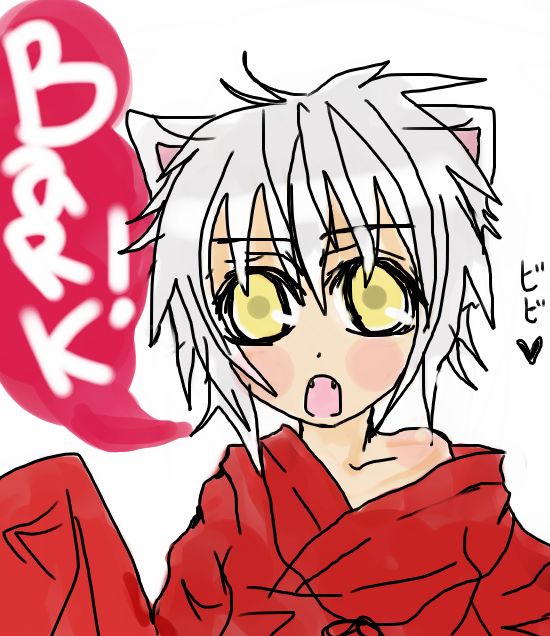 Inuyasha Jr- Juunko-chan