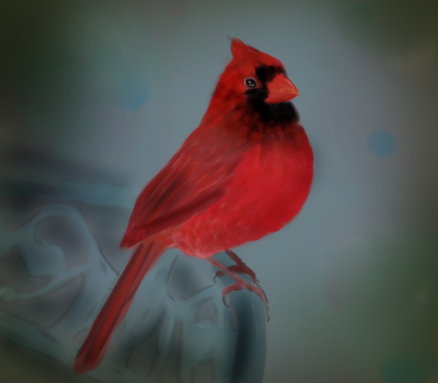 Cardinal