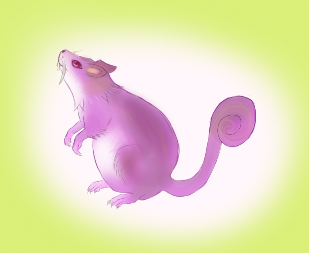 Rattata
