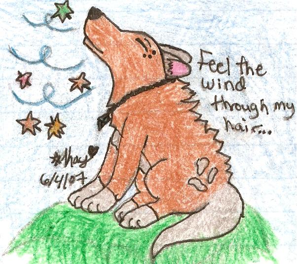 Feel The Wind Through My Hair...