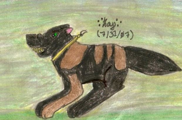 Full Throttle...tokala?