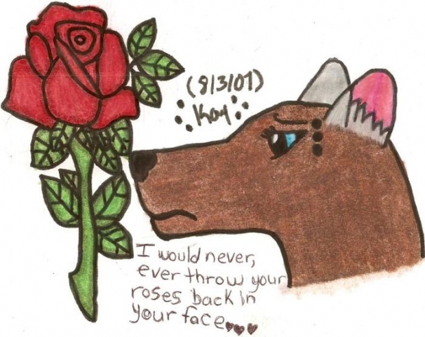I Would Never Throw Roses At You!