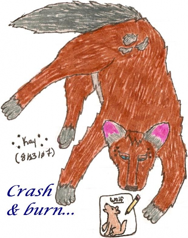 Sometimes You Just...crash And Burn