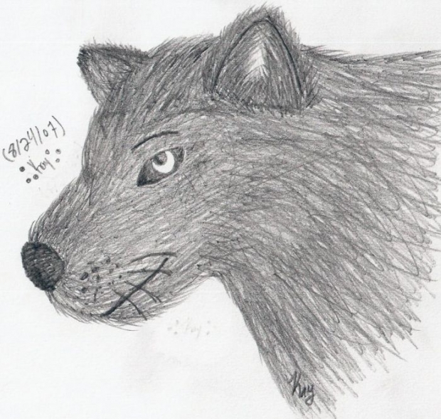 Sketch Wolf