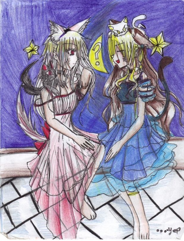 A tail of two kittys