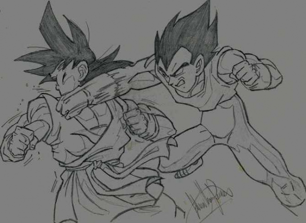 Vageta Hits Goku