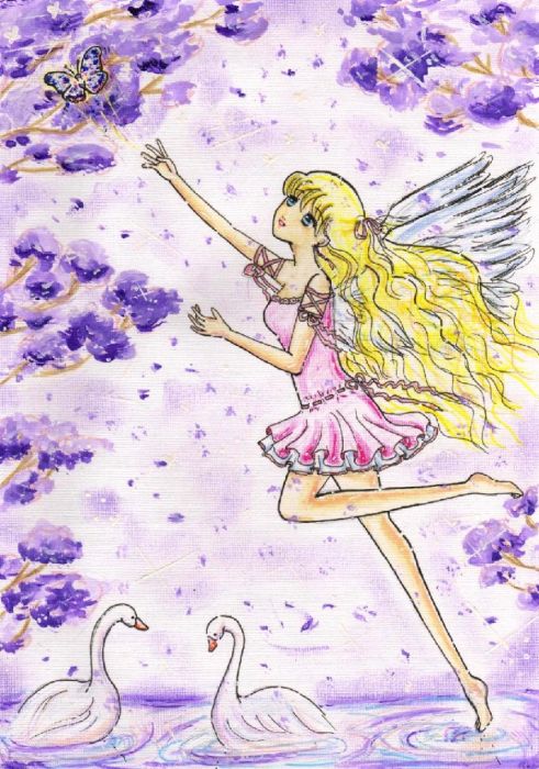 Follow The Butterfly...