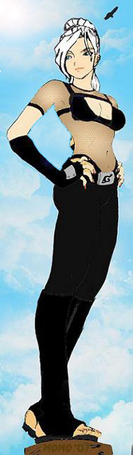 Shihasu Full Body Colored