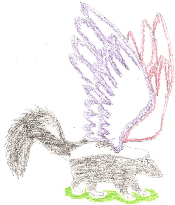 Skunks Can Fly