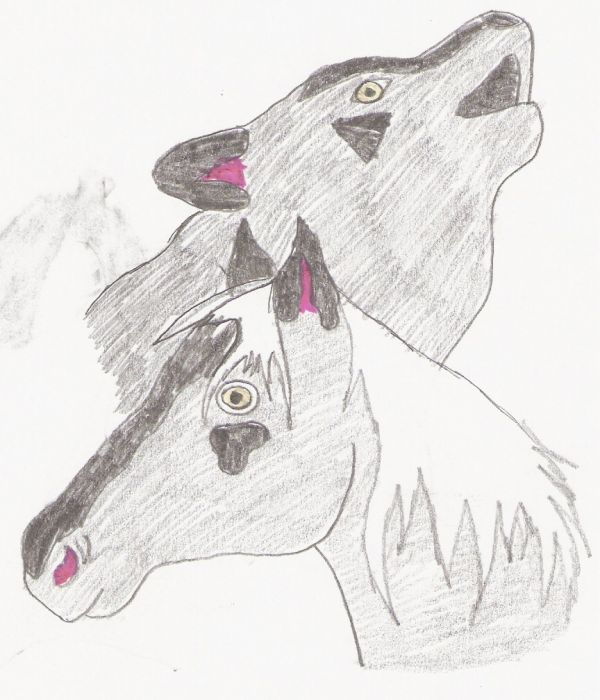 Wolf & Horse